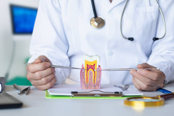 Best Emergency Dental Care for Broken or Chipped Teeth in Bryant, AR